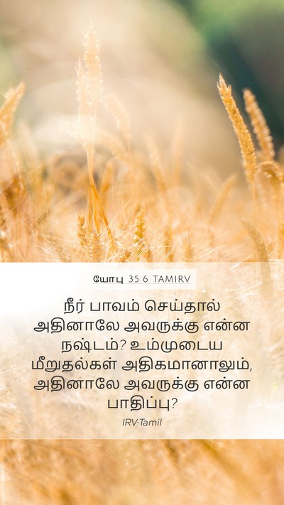யோபு 35:6 TAMIRV Bible Verse Image