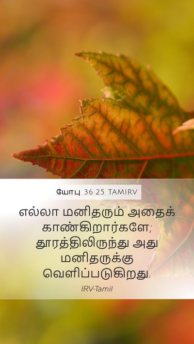 யோபு 36:25 TAMIRV Mobile Phone Wallpaper - எல்லா மனிதரும் - Mobile Bible Verse Wallpaper