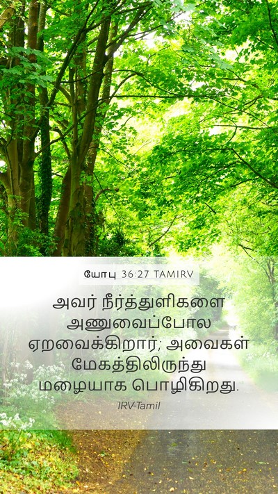 யோபு 36:27 TAMIRV Bible Verse Image