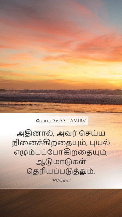 யோபு 36:33 TAMIRV Mobile Phone Wallpaper - அதினால், அவர் - Mobile Bible Verse Wallpaper