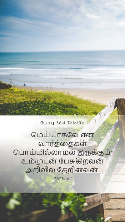 யோபு 36:4 TAMIRV Mobile Phone Wallpaper - மெய்யாகவே என் - Mobile Bible Verse Wallpaper