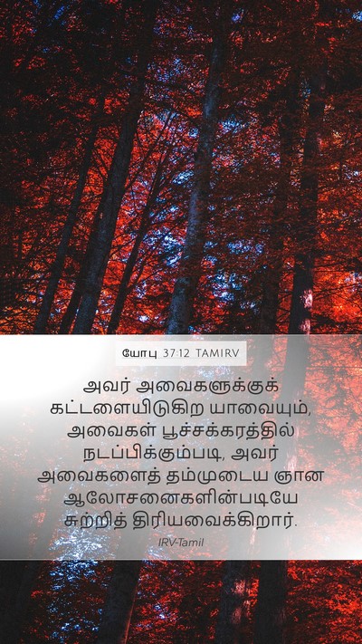 யோபு 37:12 TAMIRV Mobile Phone Wallpaper - அவர் அவைகளுக்குக் - Mobile Bible Verse Wallpaper