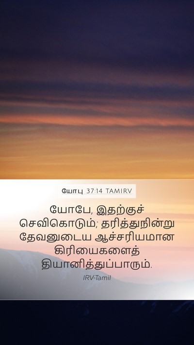 யோபு 37:14 TAMIRV Bible Verse Image