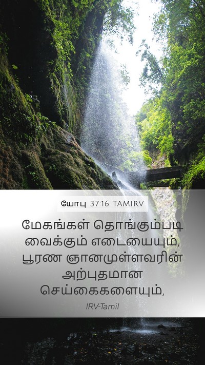 யோபு 37:16 TAMIRV Bible Verse Image