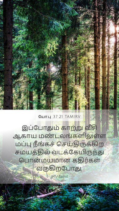 யோபு 37:21 TAMIRV Mobile Phone Wallpaper - இப்போதும் காற்று - Mobile Bible Verse Wallpaper