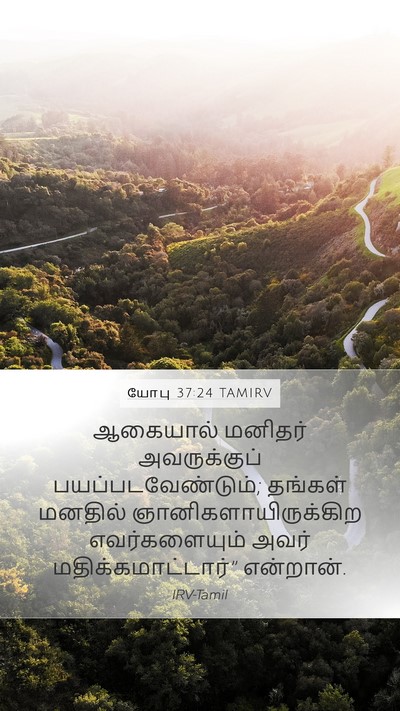 யோபு 37:24 TAMIRV Mobile Phone Wallpaper - ஆகையால் மனிதர் - Mobile Bible Verse Wallpaper