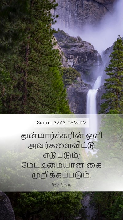 யோபு 38:15 TAMIRV Bible Verse Image