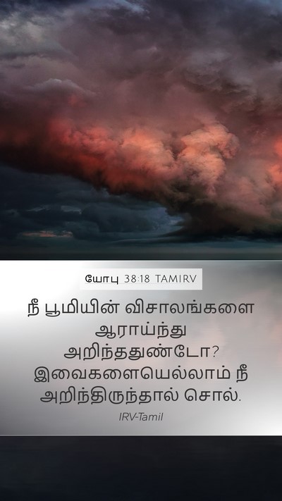 யோபு 38:18 TAMIRV Mobile Phone Wallpaper - நீ பூமியின் - Mobile Bible Verse Wallpaper