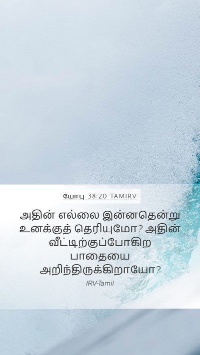 யோபு 38:20 TAMIRV Mobile Phone Wallpaper - அதின் எல்லை - Mobile Bible Verse Wallpaper