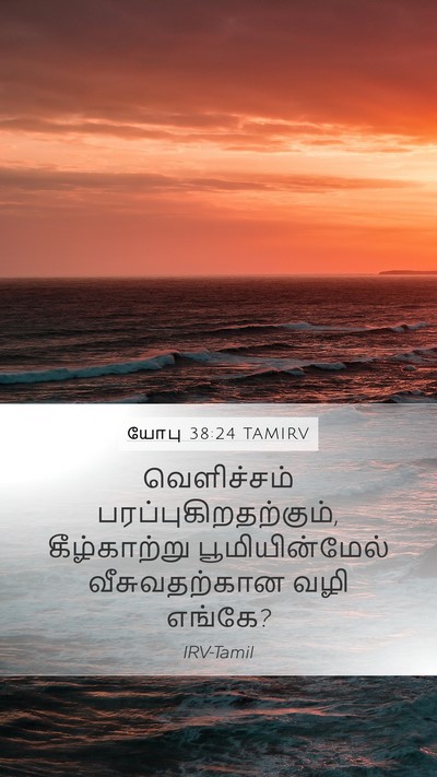 யோபு 38:24 TAMIRV Bible Verse Image