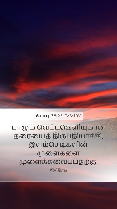 யோபு 38:25 TAMIRV Bible Verse Image