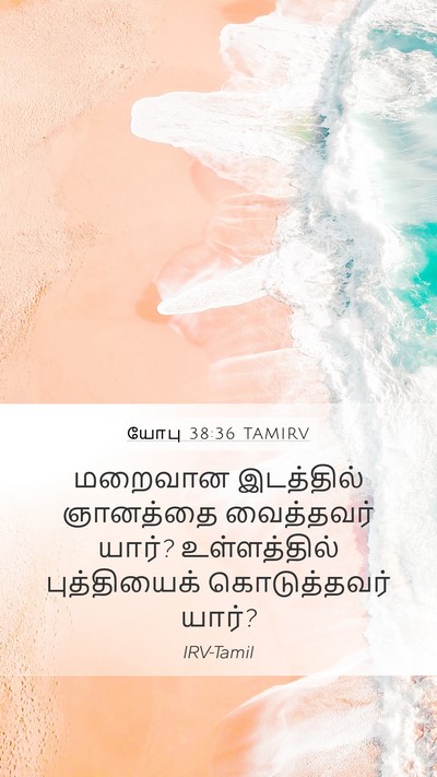 யோபு 38:36 TAMIRV Bible Verse Image