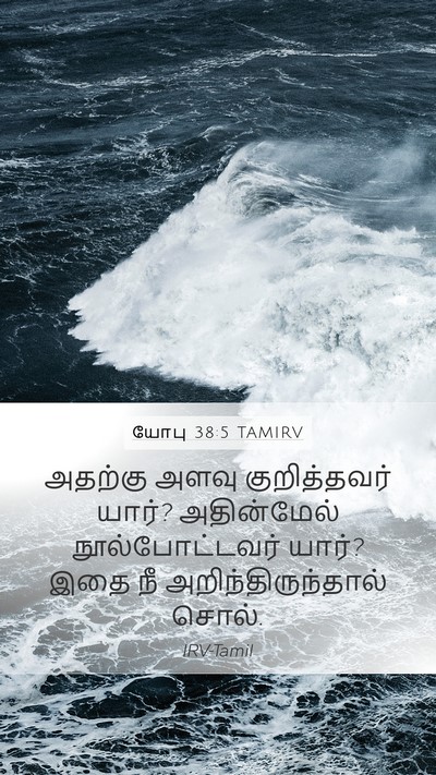 யோபு 38:5 TAMIRV Bible Verse Image