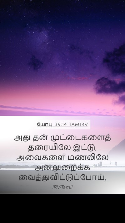 யோபு 39:14 TAMIRV Bible Verse Image