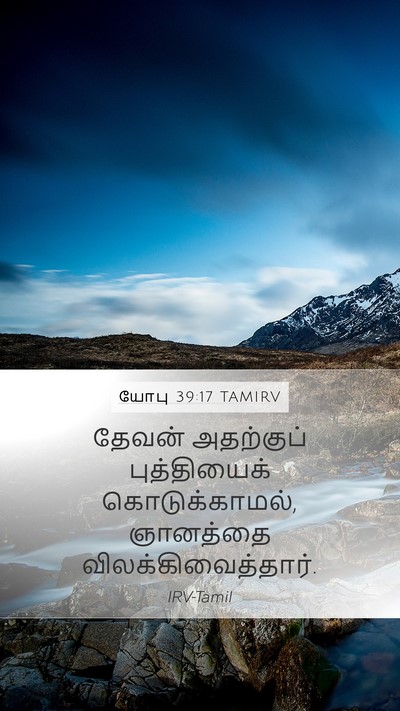 யோபு 39:17 TAMIRV Bible Verse Image