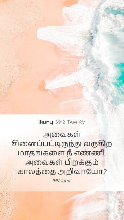 யோபு 39:2 TAMIRV Mobile Phone Wallpaper - அவைகள் - Mobile Bible Verse Wallpaper