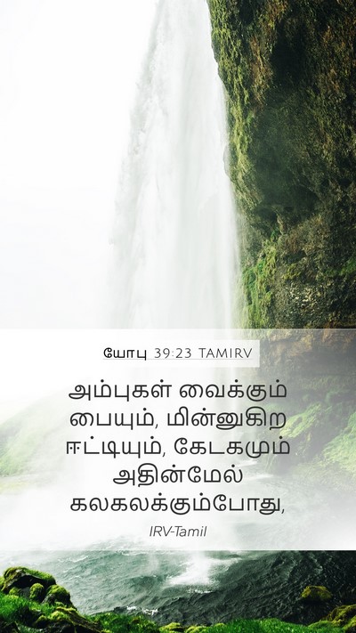 யோபு 39:23 TAMIRV Mobile Phone Wallpaper - அம்புகள் வைக்கும் - Mobile Bible Verse Wallpaper
