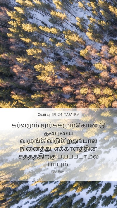யோபு 39:24 TAMIRV Mobile Phone Wallpaper - கர்வமும் - Mobile Bible Verse Wallpaper