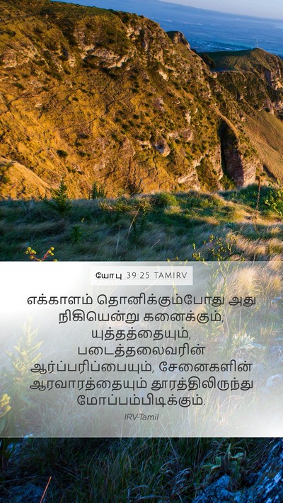 யோபு 39:25 TAMIRV Bible Verse Image