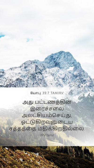 யோபு 39:7 TAMIRV Bible Verse Image