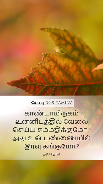 யோபு 39:9 TAMIRV Bible Verse Image