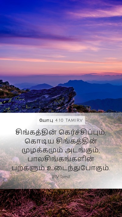 யோபு 4:10 TAMIRV Bible Verse Image