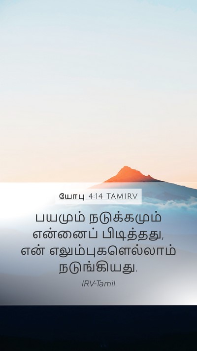 யோபு 4:14 TAMIRV Bible Verse Image