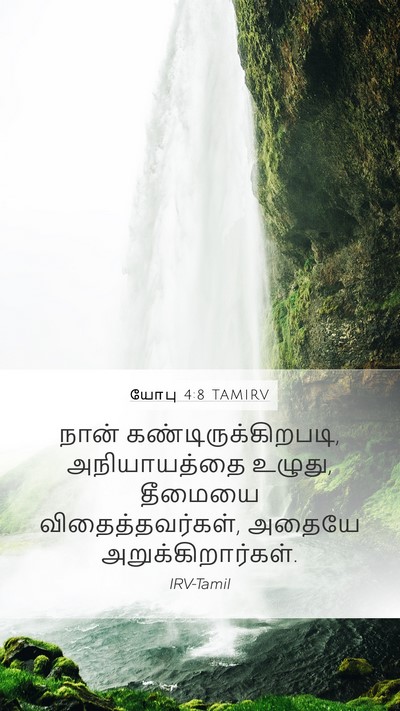 யோபு 4:8 TAMIRV Bible Verse Image