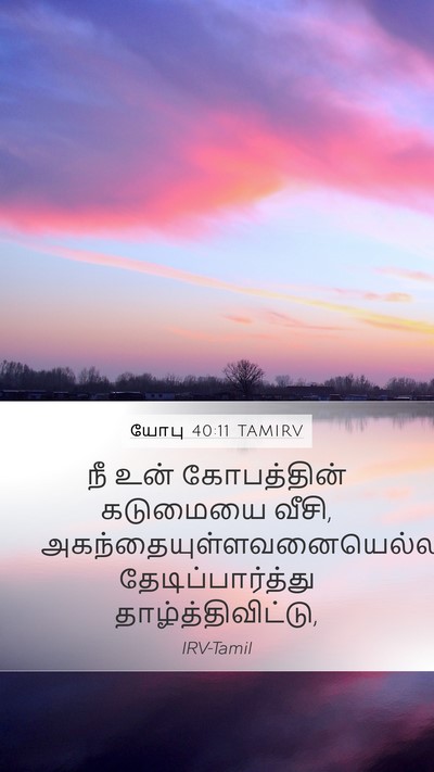 யோபு 40:11 TAMIRV Bible Verse Image