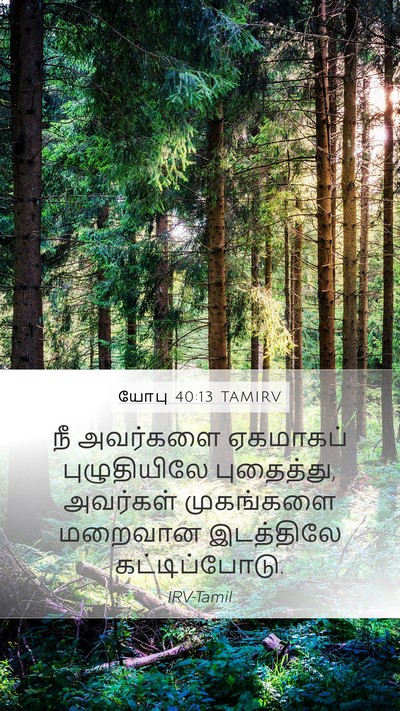 யோபு 40:13 TAMIRV Mobile Phone Wallpaper - நீ அவர்களை - Mobile Bible Verse Wallpaper