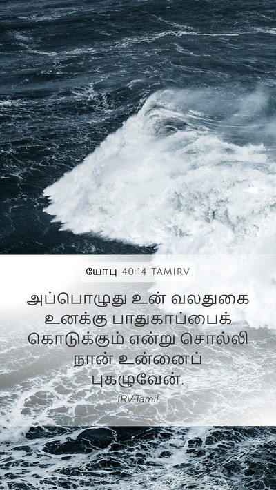 யோபு 40:14 TAMIRV Bible Verse Image