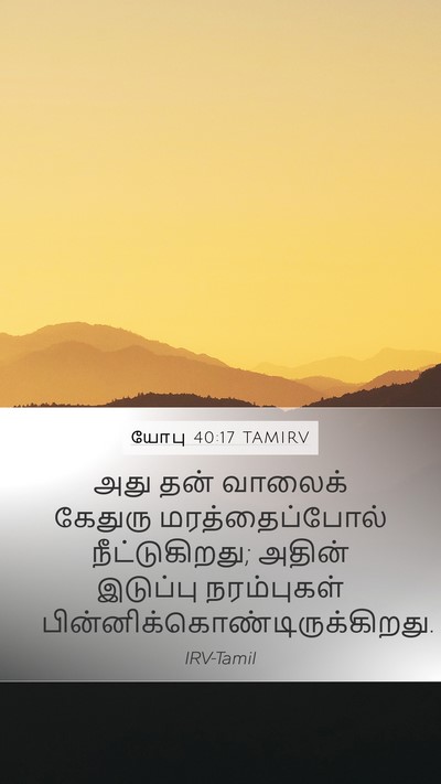 யோபு 40:17 TAMIRV Bible Verse Image