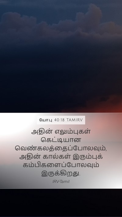 யோபு 40:18 TAMIRV Bible Verse Image