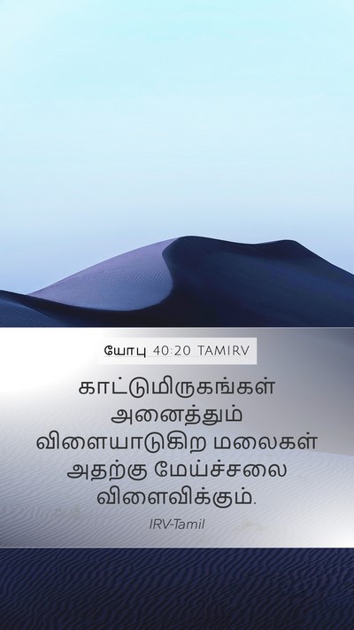 யோபு 40:20 TAMIRV Bible Verse Image