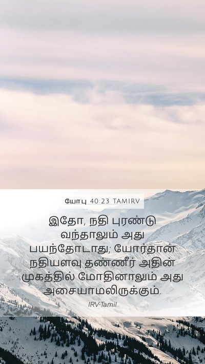 யோபு 40:23 TAMIRV Mobile Phone Wallpaper - இதோ, நதி புரண்டு - Mobile Bible Verse Wallpaper