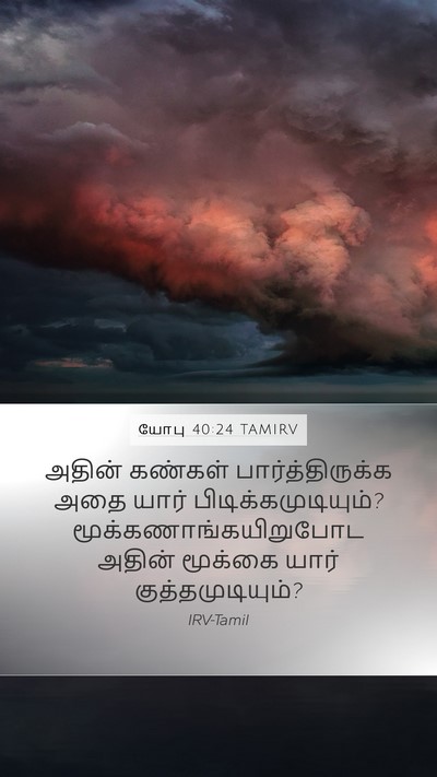 யோபு 40:24 TAMIRV Mobile Phone Wallpaper - அதின் கண்கள் - Mobile Bible Verse Wallpaper