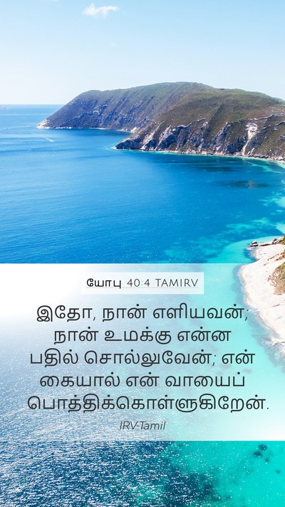 யோபு 40:4 TAMIRV Bible Verse Image