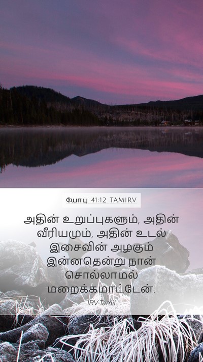 யோபு 41:12 TAMIRV Mobile Phone Wallpaper - அதின் - Mobile Bible Verse Wallpaper
