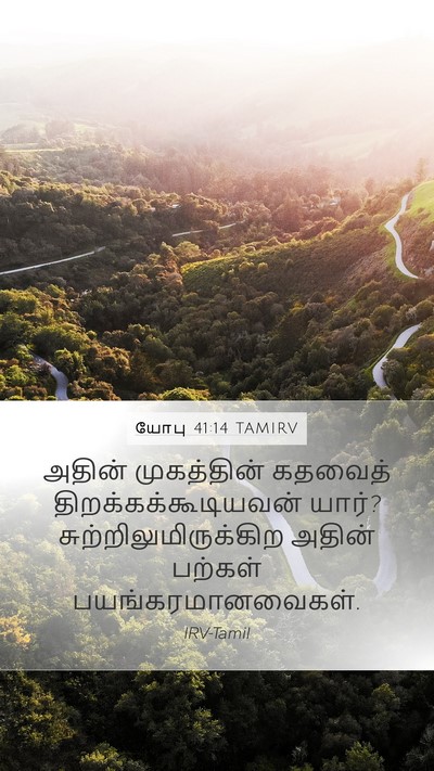 யோபு 41:14 TAMIRV Mobile Phone Wallpaper - அதின் முகத்தின் - Mobile Bible Verse Wallpaper