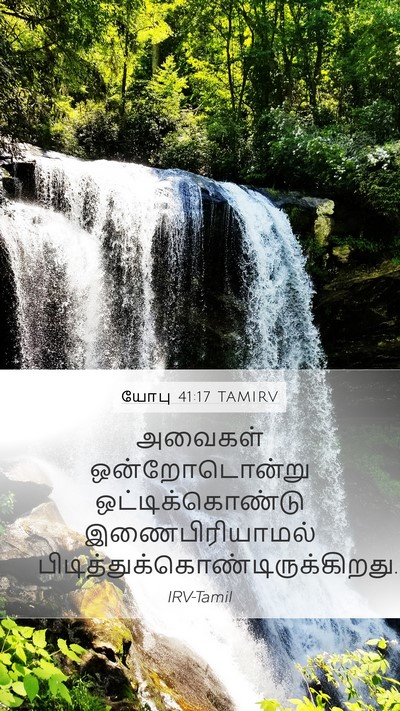 யோபு 41:17 TAMIRV Mobile Phone Wallpaper - அவைகள் - Mobile Bible Verse Wallpaper