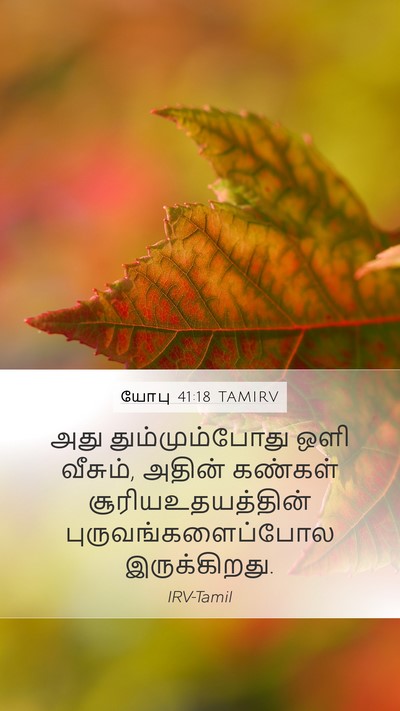 யோபு 41:18 TAMIRV Bible Verse Image