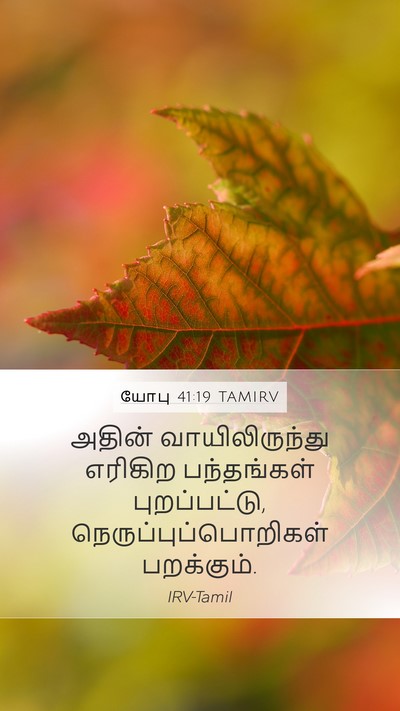யோபு 41:19 TAMIRV Mobile Phone Wallpaper - அதின் - Mobile Bible Verse Wallpaper