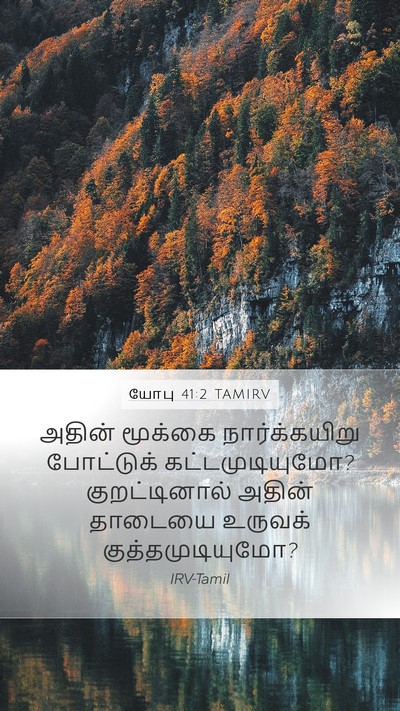 யோபு 41:2 TAMIRV Mobile Phone Wallpaper - அதின் மூக்கை - Mobile Bible Verse Wallpaper