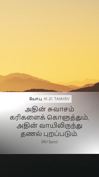 யோபு 41:21 TAMIRV Bible Verse Image