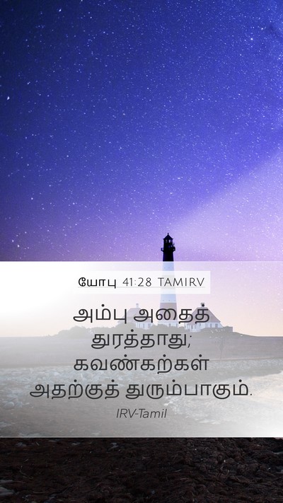 யோபு 41:28 TAMIRV Bible Verse Image