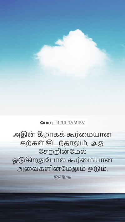 யோபு 41:30 TAMIRV Mobile Phone Wallpaper - அதின் கீழாகக் - Mobile Bible Verse Wallpaper