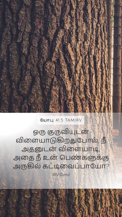 யோபு 41:5 TAMIRV Bible Verse Image