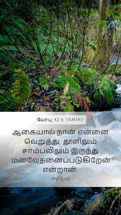 யோபு 42:6 TAMIRV Bible Verse Image