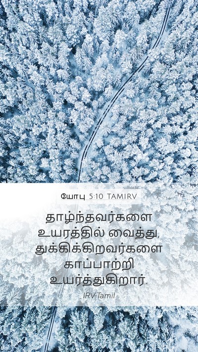 யோபு 5:10 TAMIRV Bible Verse Image