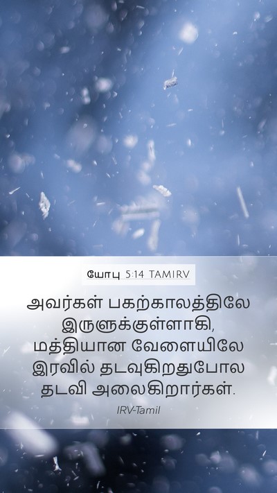 யோபு 5:14 TAMIRV Bible Verse Image